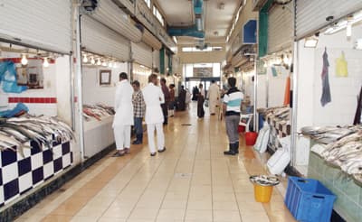 تدمير أماكن تكاثر الأسماك يرفع أسعارها 100 %