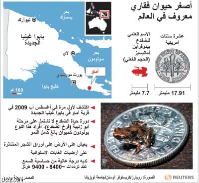 بحجم الظفر .. اكتشاف أصغر حيوان في العالم