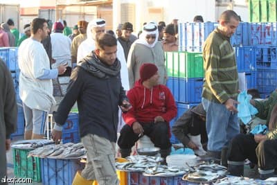 توجيه ملكي يعفي الصيادين من القروض وينقذ المهنة