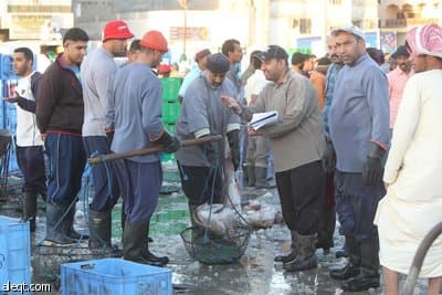 توجيه ملكي يعفي الصيادين من القروض وينقذ المهنة