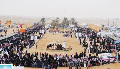 عنيزة تقاسي لسعات البرد من أجل «الغضا»