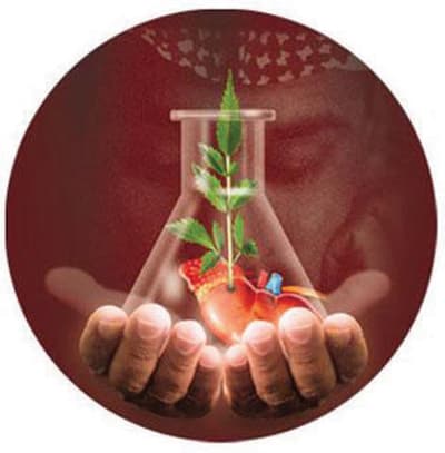 حوافز شخصية ومادية للمتبرعين بأعضائهم