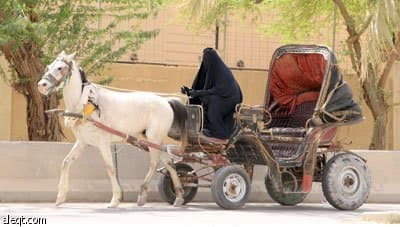 ذاكرة الرياض تستعيد عربات الخيول