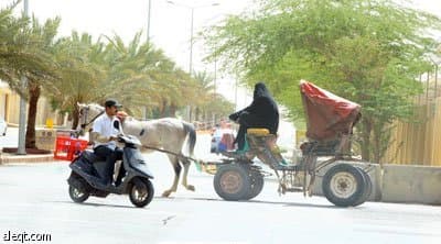 ذاكرة الرياض تستعيد عربات الخيول