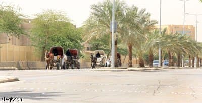 ذاكرة الرياض تستعيد عربات الخيول