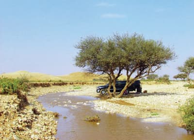 توقعات عالمية .. العاصمة لها النصيب الأكبر من الأمطار