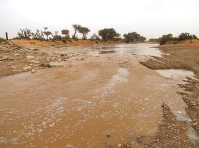 تواصل هطول الأمطار على معظم مناطق السعودية اليوم وغداً