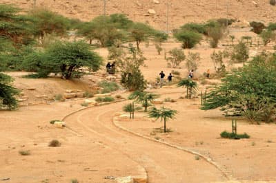 نمار ولبن .. سياحة مائية وتنزه في بطون الأودية - فيديو