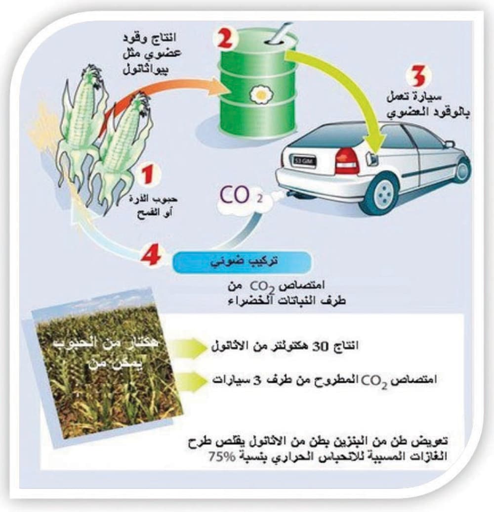 11 مليون طن مخلفات عضوية في السعودية تحتاج إلى تدوير منعا للتلوث البيئي
