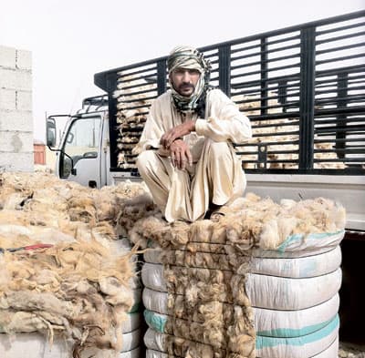 «الصوف السعودي»..  يغذي مصانع النسيج الباكستانية