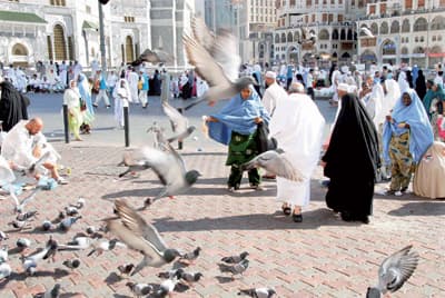 ناس وناس