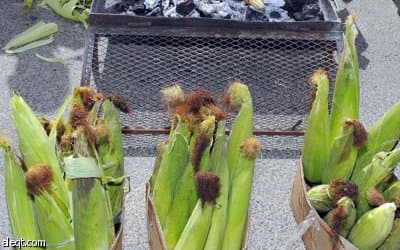 الباحة ترتدي أبهى حللها لاستقبال المصطافين والزوار