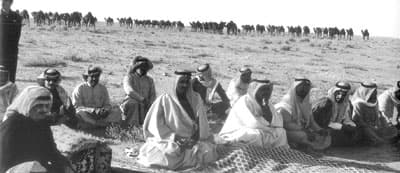 سلمان عاشق الخيل والصحراء