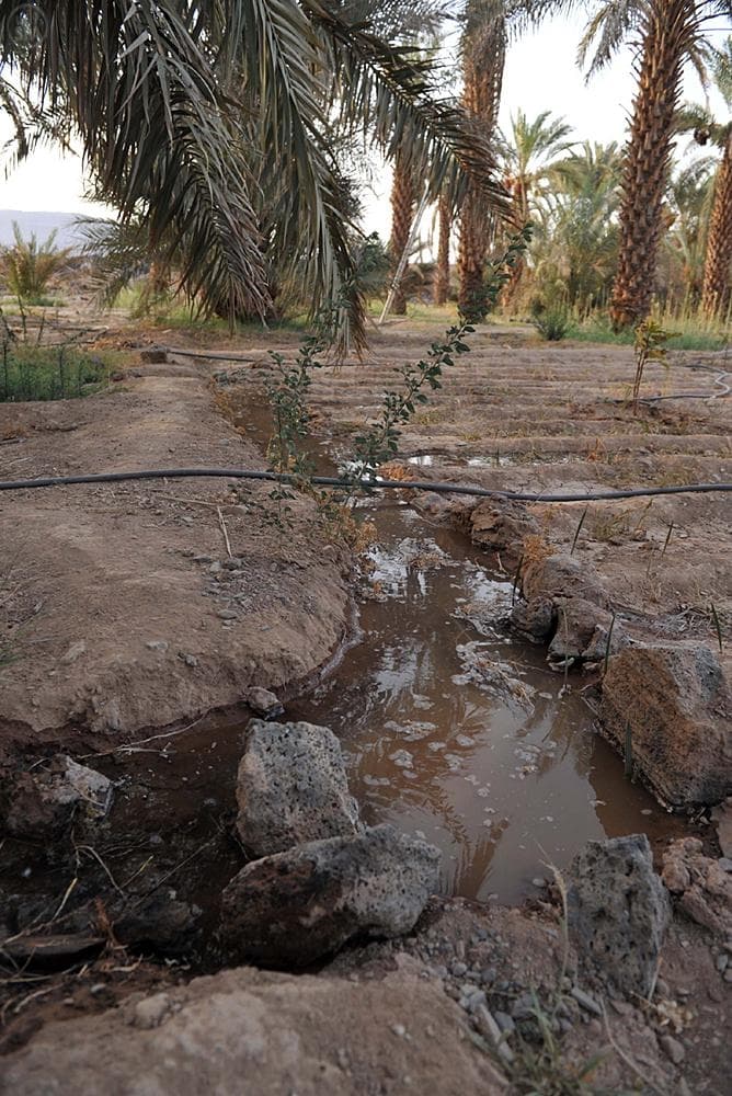 خبرات بأدوات بدائية ترصد جريان الماء في بواطن الأرض