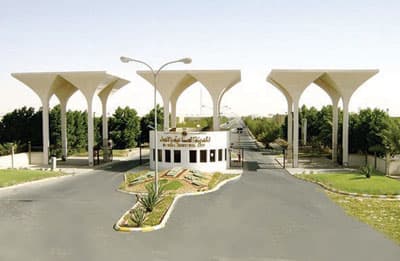 مسؤول لـ "الاقتصادية" : 5 آلاف وظيفة نسائية في مدينة الأحساء الصناعية