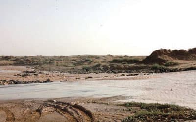 القبض على مخالفين في محمية الخنفة بعد مطاردة 6 ساعات