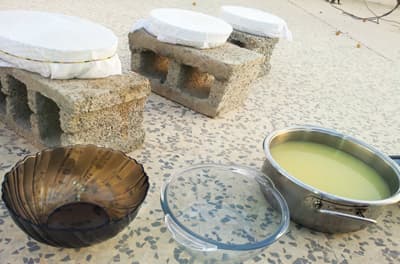 الأحسائيات ينفردن بـ «الجميد» والرجال يجعلونه عنوانا للكرم