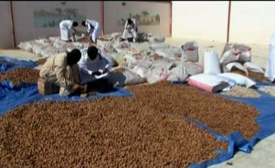 الداخلية: القبض على 762 متهماً في جرائم تهريب واستقبال ونقل مواد مخدرة - فيديو