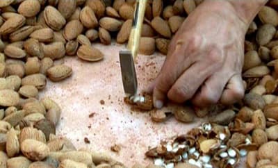 الداخلية: القبض على 762 متهماً في جرائم تهريب واستقبال ونقل مواد مخدرة - فيديو