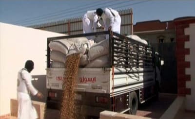 الداخلية: القبض على 762 متهماً في جرائم تهريب واستقبال ونقل مواد مخدرة - فيديو