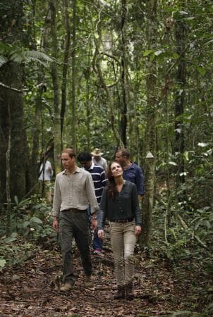 الأمير وليام وزوجته كيت يتجولان في غابة شرق ماليزيا "صور"