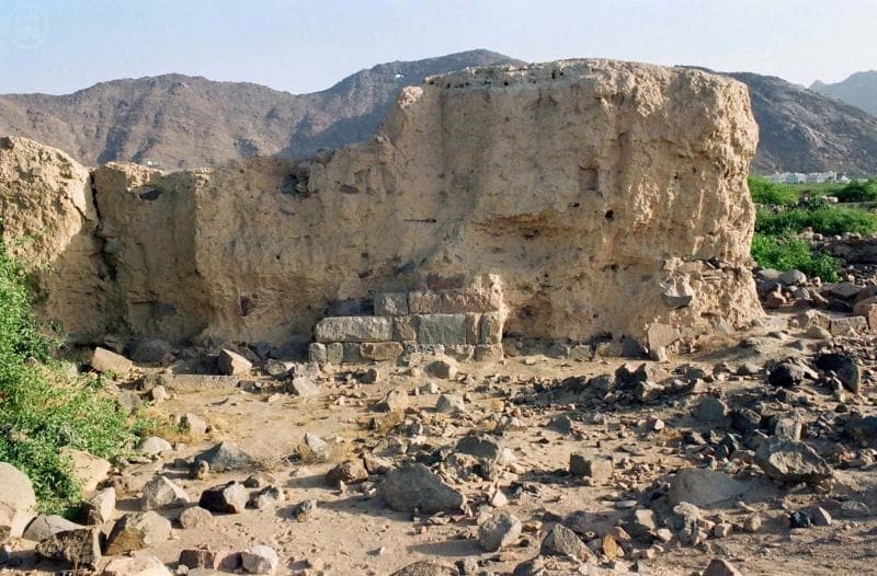 منطقة الباحة شاهد على النهضة التنموية الشاملة في المملكة