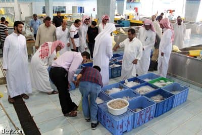 قصة مصورة : "الاقتصادية الإلكترونية" تتجول داخل سوق السمك في شمال الرياض