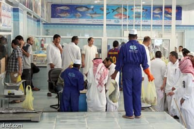 قصة مصورة : "الاقتصادية الإلكترونية" تتجول داخل سوق السمك في شمال الرياض