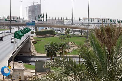 قصة مصورة : شوارع الرياض تتزين باللون الأخضر في يوم الوطن