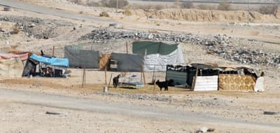 سوق عشوائي للأغنام ومزادات للإبل على طريق مكة - الطائف