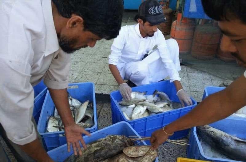 أمانة عسير تضبط طنا من الأسماك الفاسدة في أبها