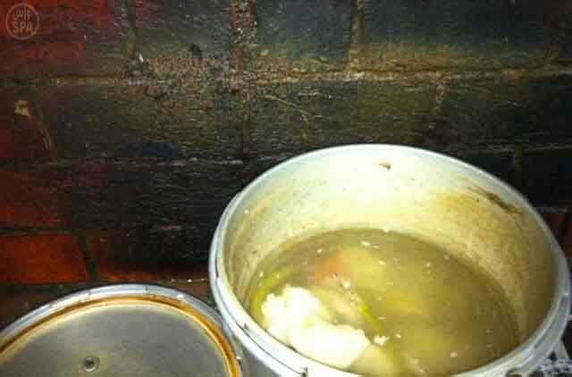 إغلاق متنزه يجهز المأكولات بين الحشرات والفئران في  عسير