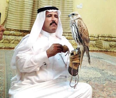 عرعر: بيع طير حر بأكثر من 100 ألف ريال