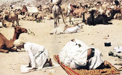 النقل في الحج