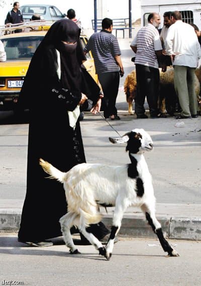 امرأة فلسطينية تجر ماعز في سوق المواشي في مخيم النصيرات وسط قطاع غزة