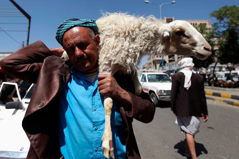 قصة مصورة : الاضحية .. شعيرة يبحث عنها كل مسلم