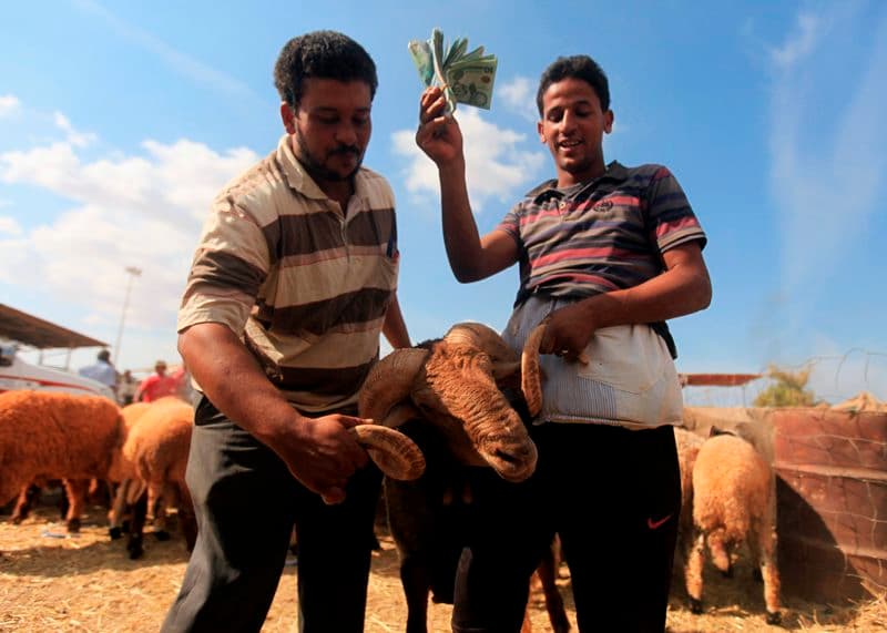 قصة مصورة : الاضحية .. شعيرة يبحث عنها كل مسلم