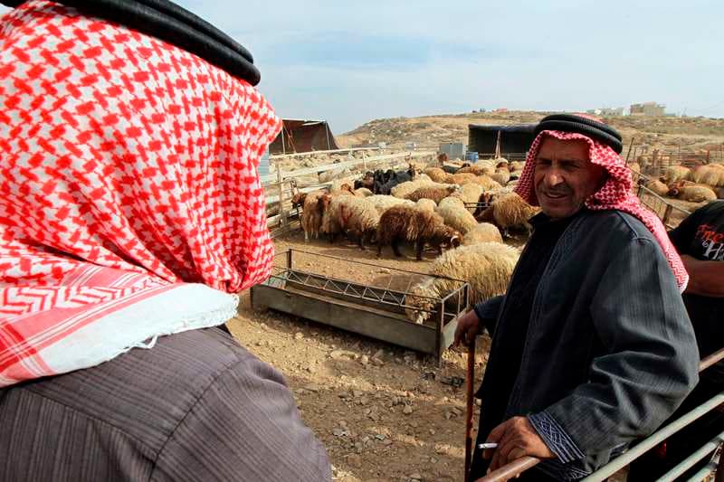 قصة مصورة : الاضحية .. شعيرة يبحث عنها كل مسلم