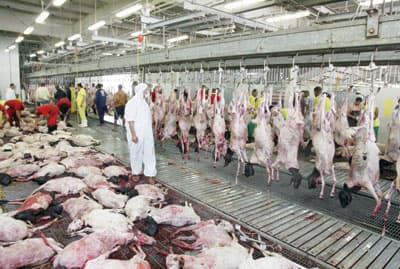 الحجاج ينحرون أكثر من ربع مليون أضحية أول أيام العيد