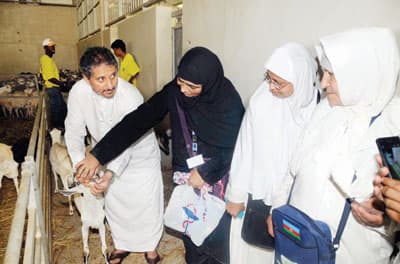 الحجاج ينحرون أكثر من ربع مليون أضحية أول أيام العيد