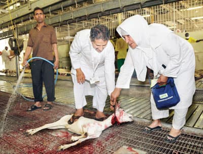 الحجاج ينحرون أكثر من ربع مليون أضحية أول أيام العيد