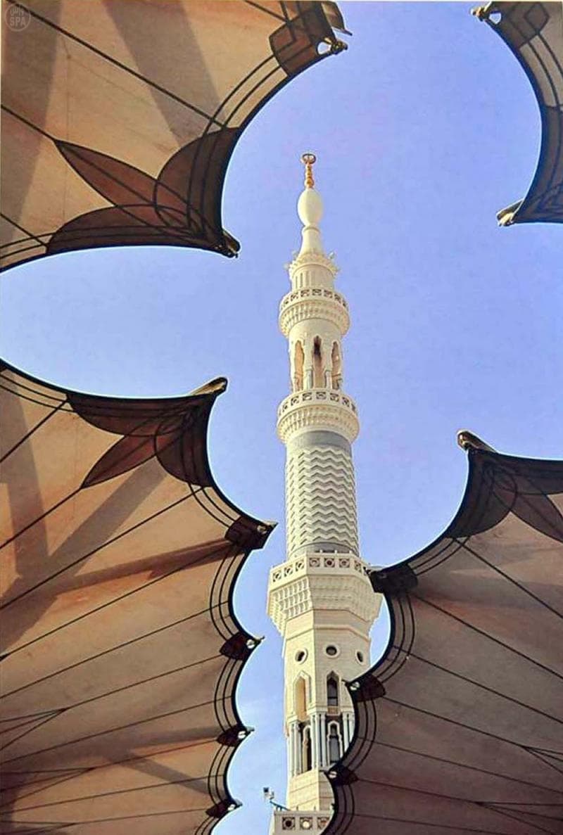 صور ملتقى ألوان السعودية في متجر البرامج للهواتف الذكية