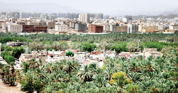 المدينة المنورة .. منطقة تنمو طولا وعرضا ووجهة تجتذب الزائرين