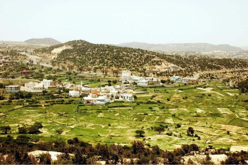 قصة مصورة .. الضباب يكسو أرض النماص ببياضه الأخّاذ