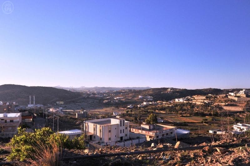 قصة مصورة .. الضباب يكسو أرض النماص ببياضه الأخّاذ