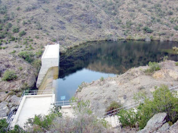 «العقيق» .. منتجات زراعية متنوعة