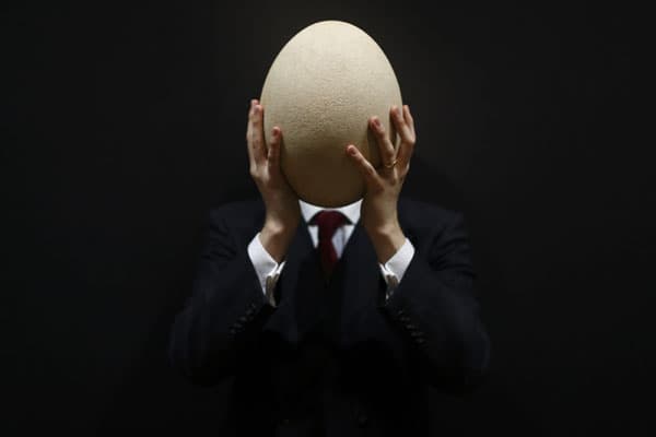 قصة مصورة : عرض بيضة طائر الفيل المنقرض بمزاد في لندن الشهر المقبل