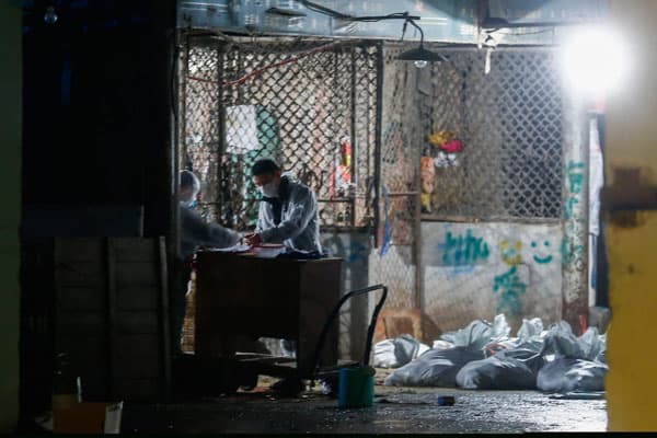 قصة مصورة : الصين تذبح الدواجن مع ارتفاع الوفيات بانفلونزا الطيور