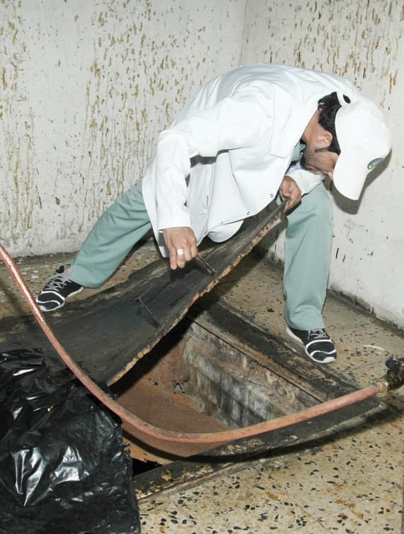 بلدية المعذر: الحال في المطابخ «مقزز»