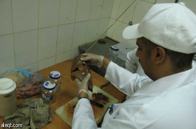 بلدية العريجاء: زيارة 28 مطعم ومخبز بينها 4 فقط مطابق للاشتراطات الصحية